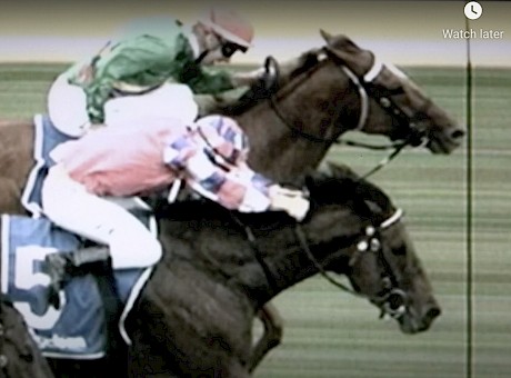 Only the bob of the head beat Platinum Spirit at Mornington.