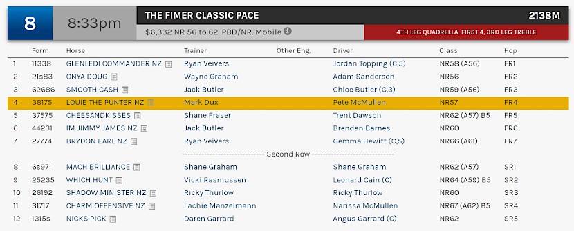 Louie The Punter races at 10.33pm NZ time at Albion Park on Saturday night.