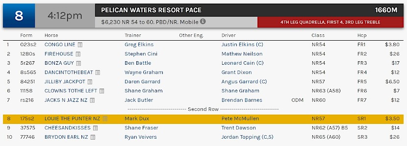 Louie The Punter races at 6.12pm NZ time at Albion Park on Friday.