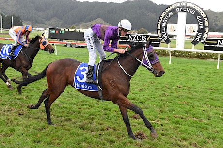 Platinum Spirit winning on a heavy 10 track at Trentham as a two-year-old. PHOTO: Peter Rubery/Race Images.