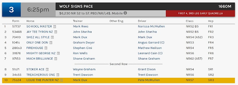 Louie The Punter races at 8.25pm NZ time at Albion Park on Friday night.