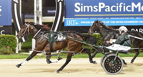 Simply Sam ran his last half in 55.6 in this last-start win at Auckland. PHOTO: Megan Liefting/Race Images.
