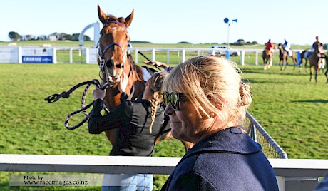 Trainer Lisa Latta welcomes back Platinum Bordeaux.