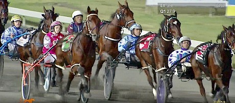 Captain Nemo in the pink colours, over-racing in the death seat at his last start.