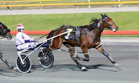 Young gun Angus Garrard drives both Tommy Lincoln and Captain Nemo on Saturday night. PHOTO: Dan Costello.
