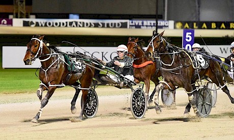 Simply Sam is going too strongly for the late-closing Zarias at Alexandra Park. PHOTO: Megan Liefting/Race Images.