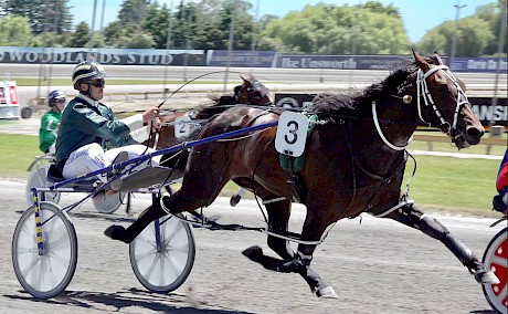 Whiz On Bye unleashes a brilliant late run at Cambridge on Christmas Eve.