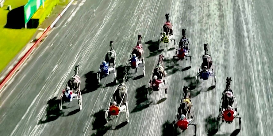 Captain Nemo’s field forms a perfect arrow head as they approach the finishing post at Albion Park last Saturday.