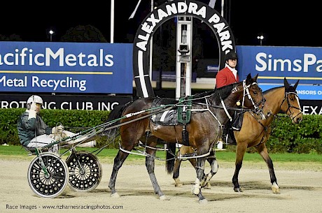 Tony Herlihy salutes on Simply Sam. PHOTO: Megan Liefting/Race Images.