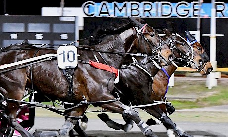 Ideal Kingdom, middle, just misses at Cambridge. He is the sole Lincoln Farms runner with a decent draw. PHOTO: Chanelle Lawson.