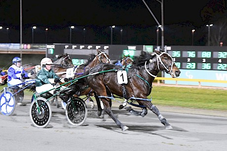 Riverman Sam … never goes a bad race. PHOTO: Chanelle Lawson.