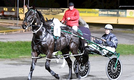 Monika Ranger brings Next To Me back to scale after his recent win at Cambridge. PHOTO: Chanelle Lawson.
