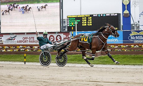 Leading driver Blair Orange salutes as Copy That makes a meal of his rivals in last year’s Trotting Cup. PHOTO: AJ Berry/Race Images.