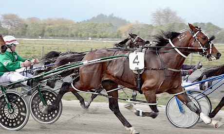 A powerful looking Copy That runs a bold second at today’s Pukekohe workouts.