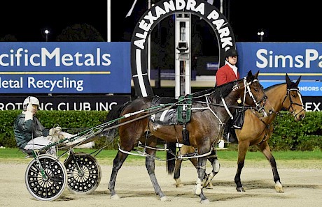 Simply Sam after notching a hat-trick at Auckland at his last start on July 15. PHOTO: Megan Liefting/Race Images.