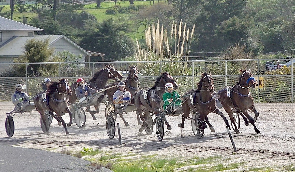 Wizardry Races The Magic Man will need plenty of wizardry to beat Merlin at Auckland ...