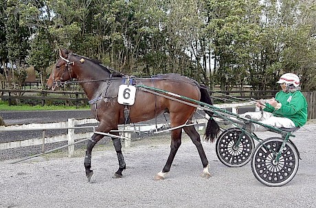 Colonel Lincoln, pictured after Friday’s workout, is improving all the time.