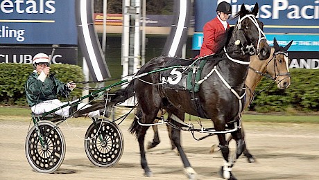 Maurice McKendry beings the big horse back to scale.