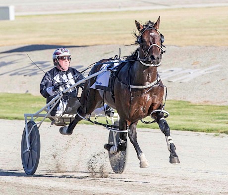 Captain Vanishing (Anthony Butt) hit the headlines in his first two starts.