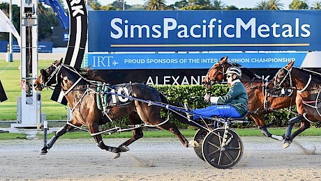 Lincoln River has his rivals well covered on Thursday night. PHOTO: Megan Liefting/Race Images.