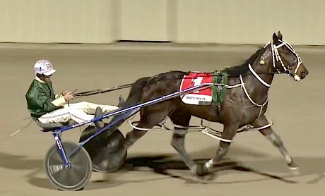 Nathan Jack drives Argyle in race eight.