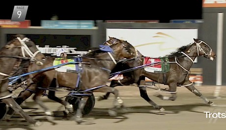 Argyle was an all-the-way winner at Melton in his first start in Victoria.