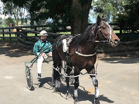 Ideal Kingdom (Zachary Butcher) after scoring by three and a half lengths in his workout last Saturday.