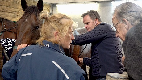 Ray Green and his wife Debbie with Frankie Major while the vet checks his heart rate after he fibrillated during his race.