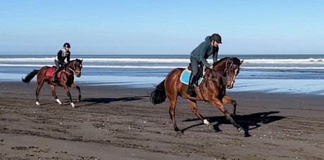 Lincoln County strides out on the beach at Waiuku.