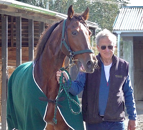 Ray Green … “This would be the worst country in the world to own a horse like Copy That.”