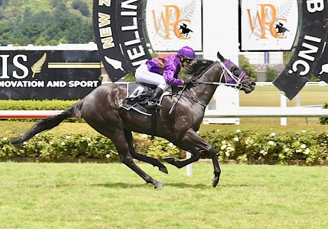 Lincoln’s Kruz and Lily Sutherland are well clear at Trentham today. PHOTO: Peter Rubery/Race Images.