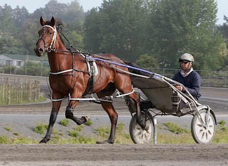 Obadiah Dragon going through his paces for Andre Poutama at Pukekohe. PHOTO: Trish Dunell.