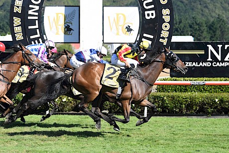 Lincoln King beats Starrybeel in the 2022 Wellington Cup. PHOTO: Peter Rubery/Race Images.