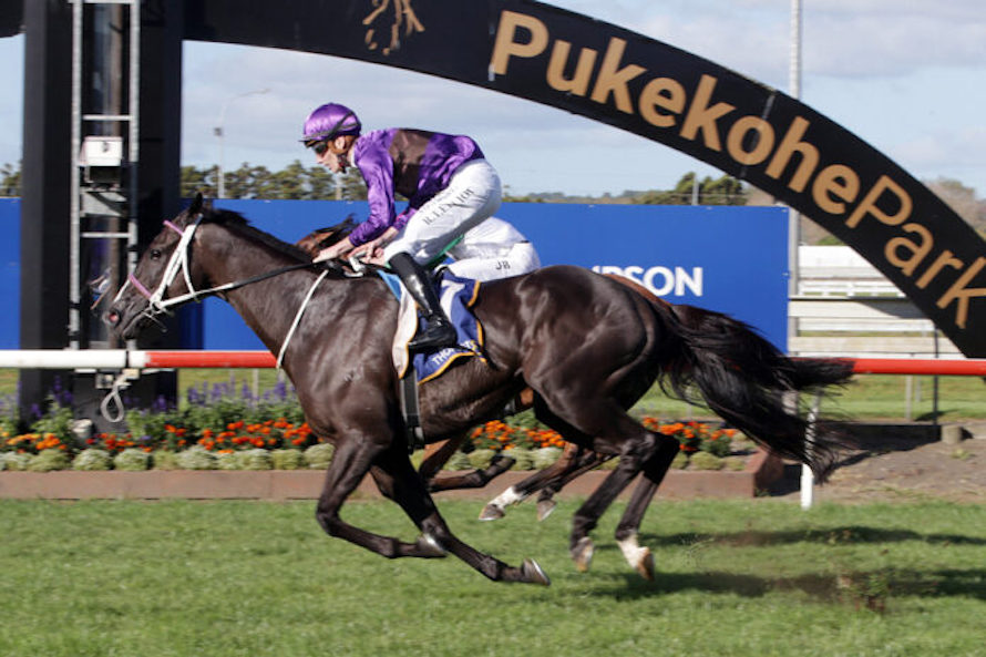 Platinum Invador’s Auckland Cup by a neck.