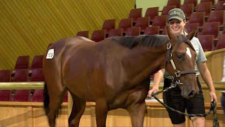 Green liked the shoulder on this Sweet Lou colt who cost John Street $40,000.