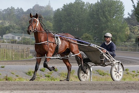 Obadiah Dragon … rangy colt who could be looking for a break. PHOTO: Trish Dunell.