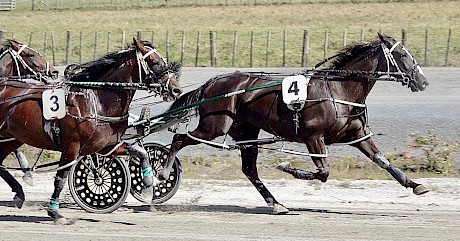Onyx Shard leads Lincoln Blue, parked and Lenny Lincoln, trailing, in their first workout at Pukekohe today.
