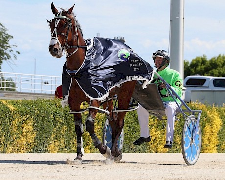 Akuta hasn’t raced since winning the New Zealand Derby on December 4. PHOTO: Ajay Berry/Race Images.