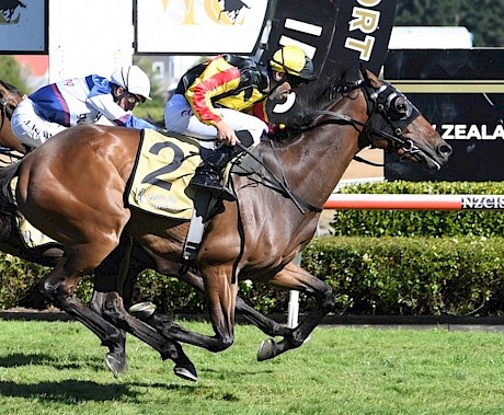 Lincoln King downs Starrybeel in the 2022 Wellington Cup. PHOTO: Peter Rubery/Race Images.