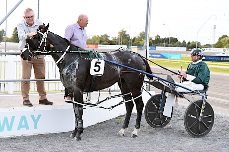 Part-owners David Turner, left, and Phil Kelly greet Lincoln River after his win. PHOTO: Chanelle Lawson.