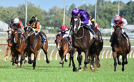 Platinum Invador (white blaze) storms home out wide. PHOTO: Megan Liefting/Race Images.