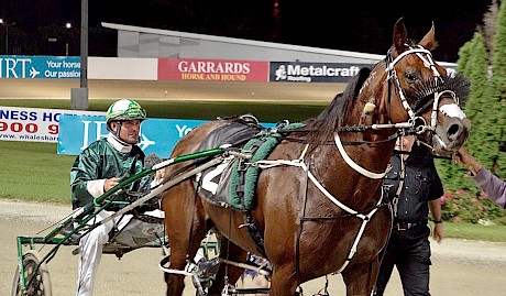 Blair Orange brings Copy That back to scale after his 32nd win