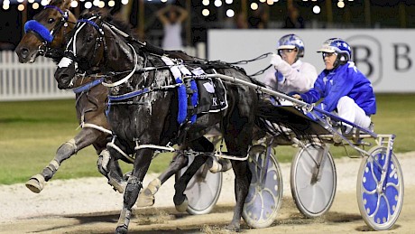 Ultimate Sniper, pictured winning the 2019 Interdominion Grand Final, set a national mark for 2200 metres in the first heat. PHOTO: Peter Rubery.