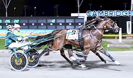 Hot And Treacherous, obscured, only just goes down to Copy That in a New Zealand record 3:16 for 2700 metres at Cambridge last October. PHOTO: Chanelle Lawson.