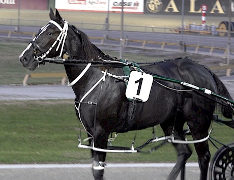 Onyx Shard returns to scale after winning at her third start.