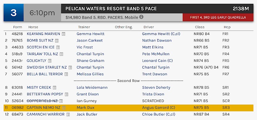 Captain Nemo races at 8.10pm NZ time at Albion Park on Saturday night.