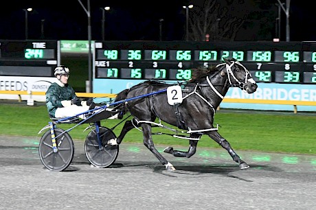 Bettor Cheer scored all the way for Zachary Butcher last week. PHOTO: Chanelle Lawson.