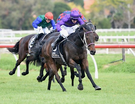 Lincoln Rocks sweeps to an impressive win at Hastings. PHOTO: Peter Rubery/Race Images.