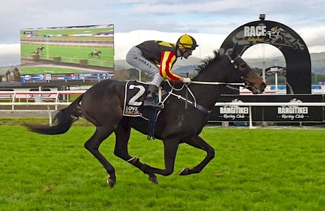 Fabian Hawk is seven lengths clear at the finish and still travelling at Awapuni yesterday. PHOTO: Peter Rubery/Race Images.