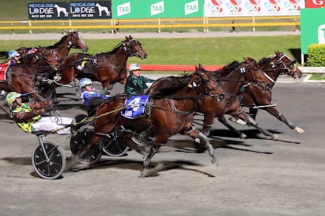 Copy That beats King Of Swing and Rockin Marty in the 2021 Sunshine Sprint at Albion Park. PHOTO: Dan Costello.